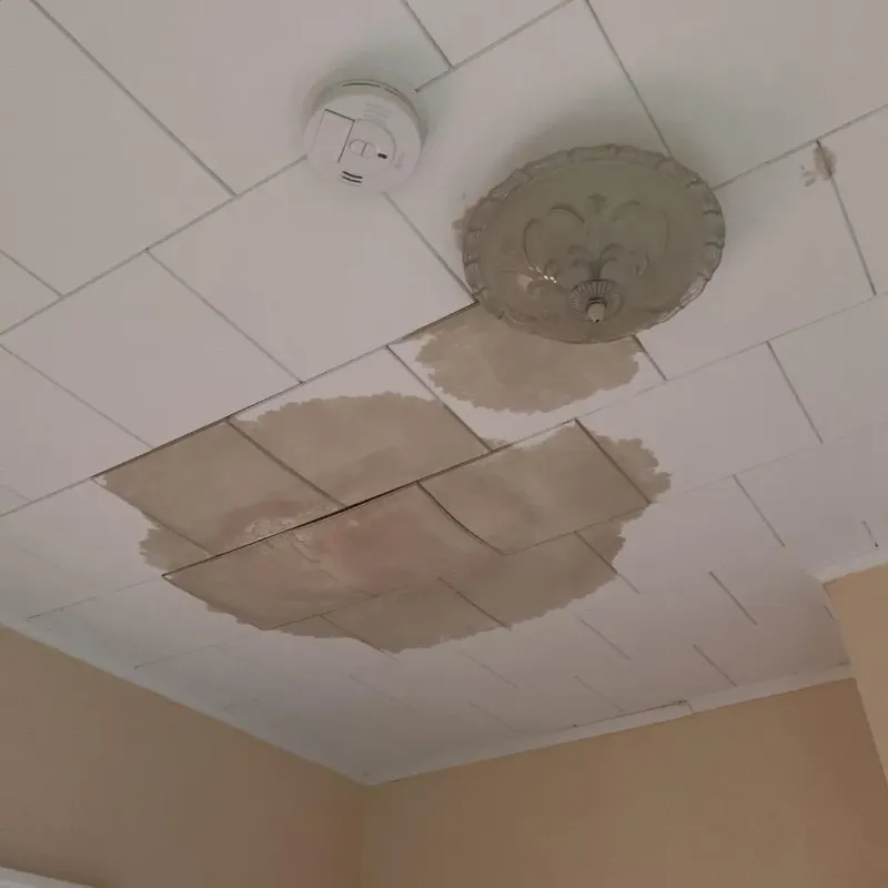 Ceiling Water Damage Repair in Monroeville, OH