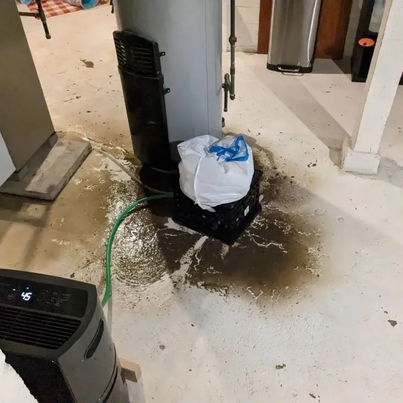 Sewage Backup Cleanup Service in Monroeville, OH